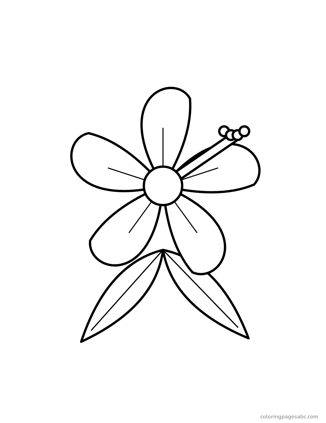 Big hibiscus flower to color online