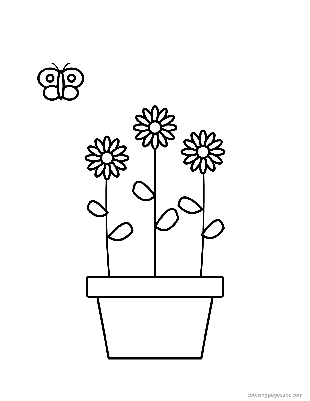 Daisies in a pot to color online