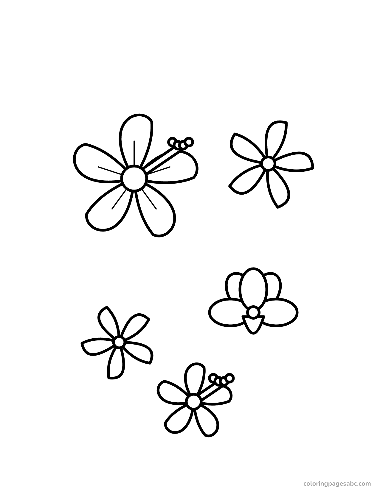 Hibiscus, plumeria and orchid flowers together coloring page