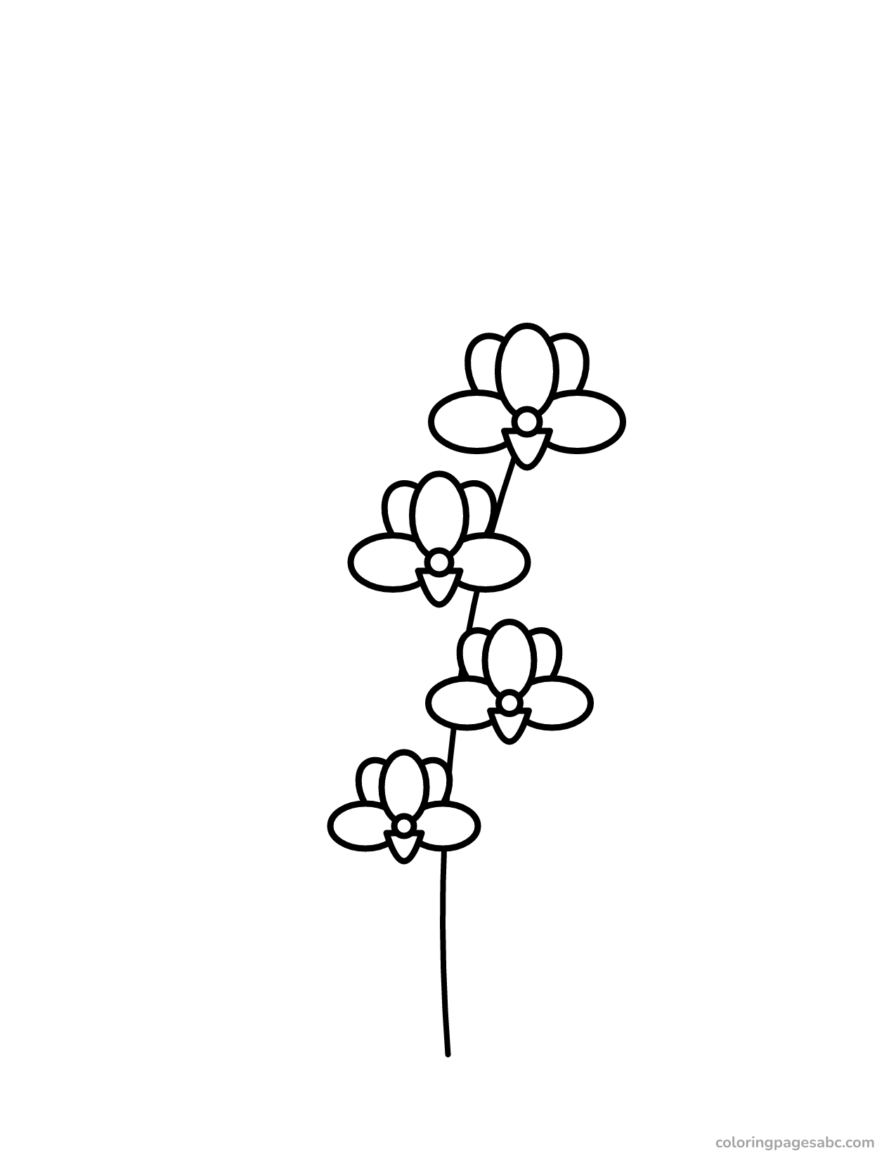 Four orchid flowers on one curved stem coloring page