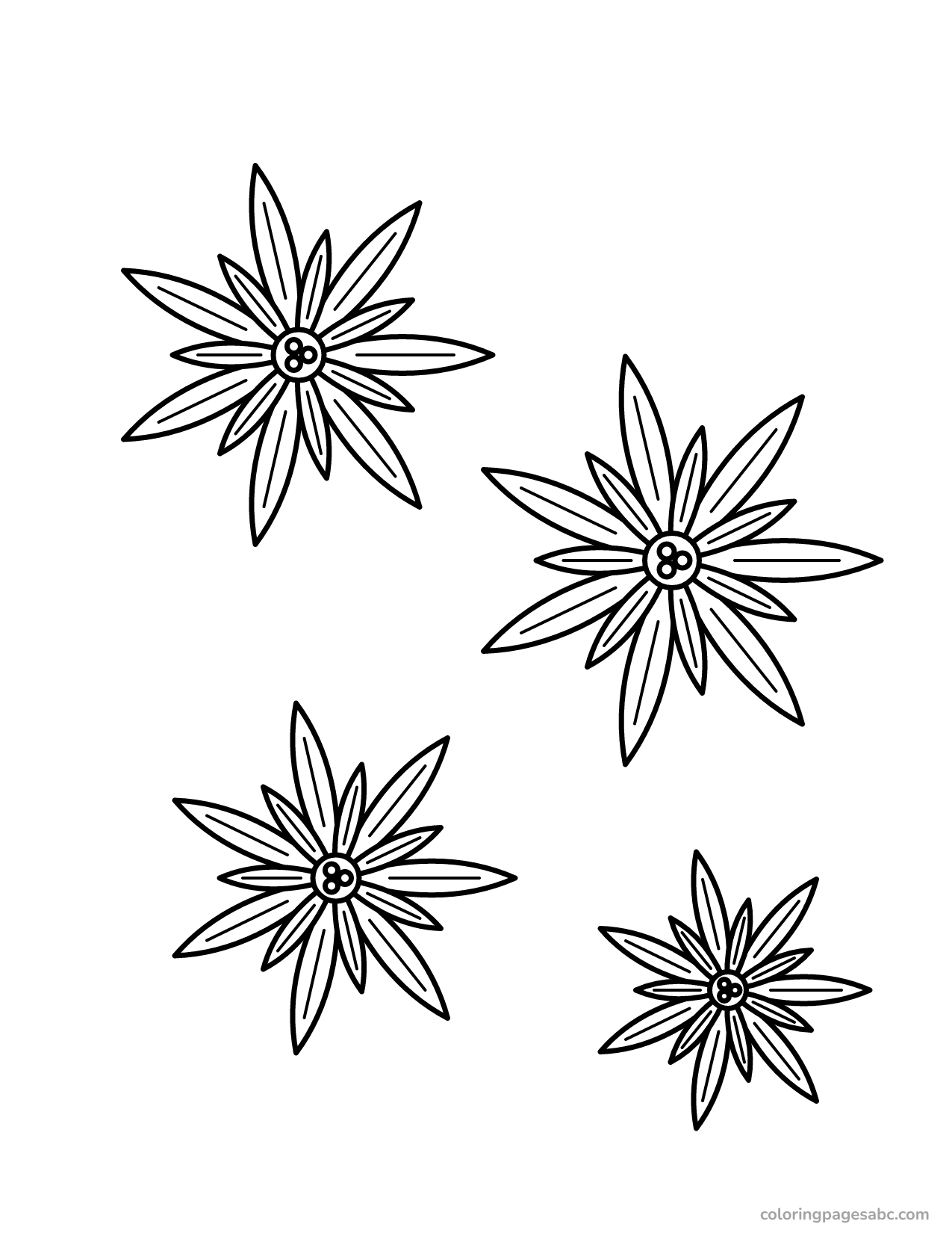 Poinsettia flowers to color online