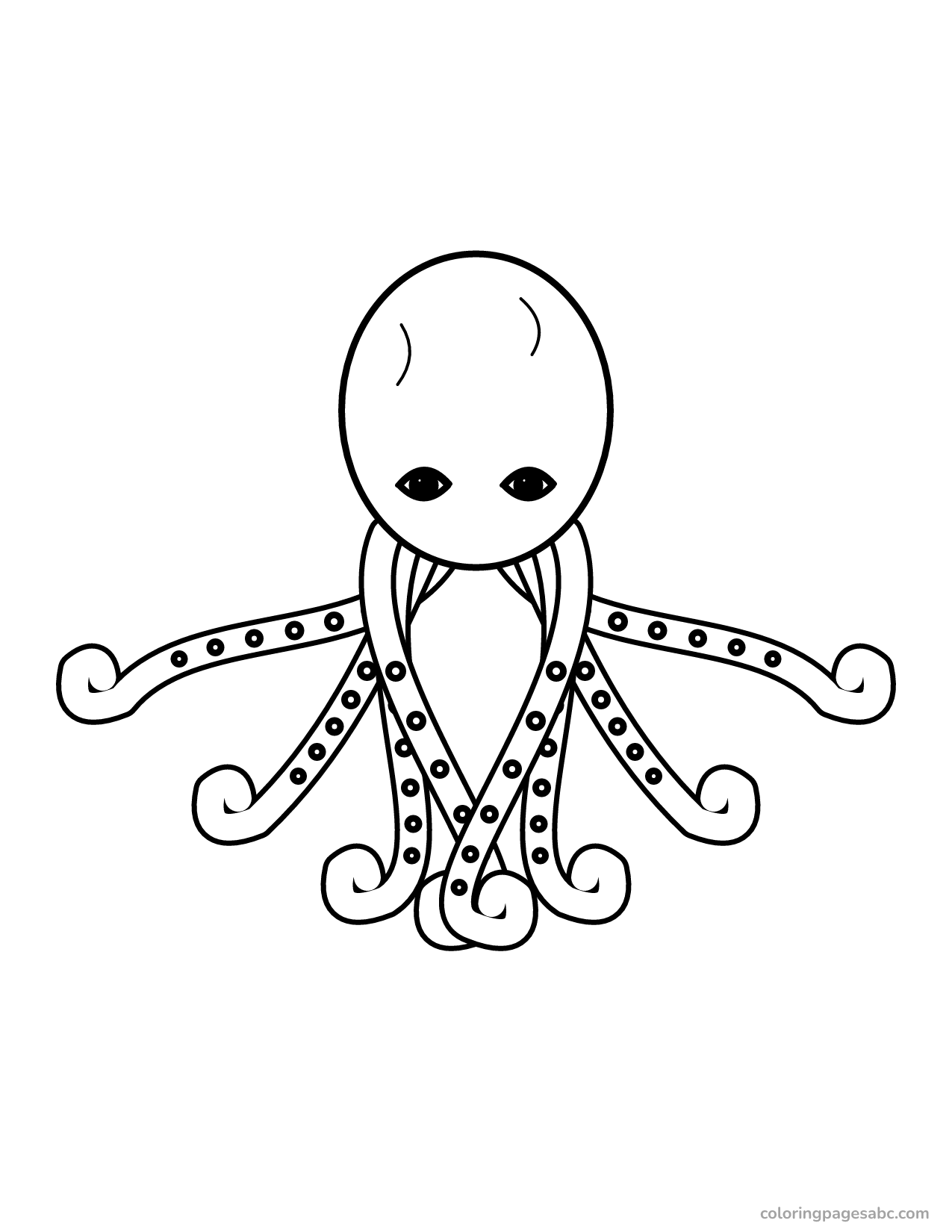 Octopus with eight curling arms covered in suckers