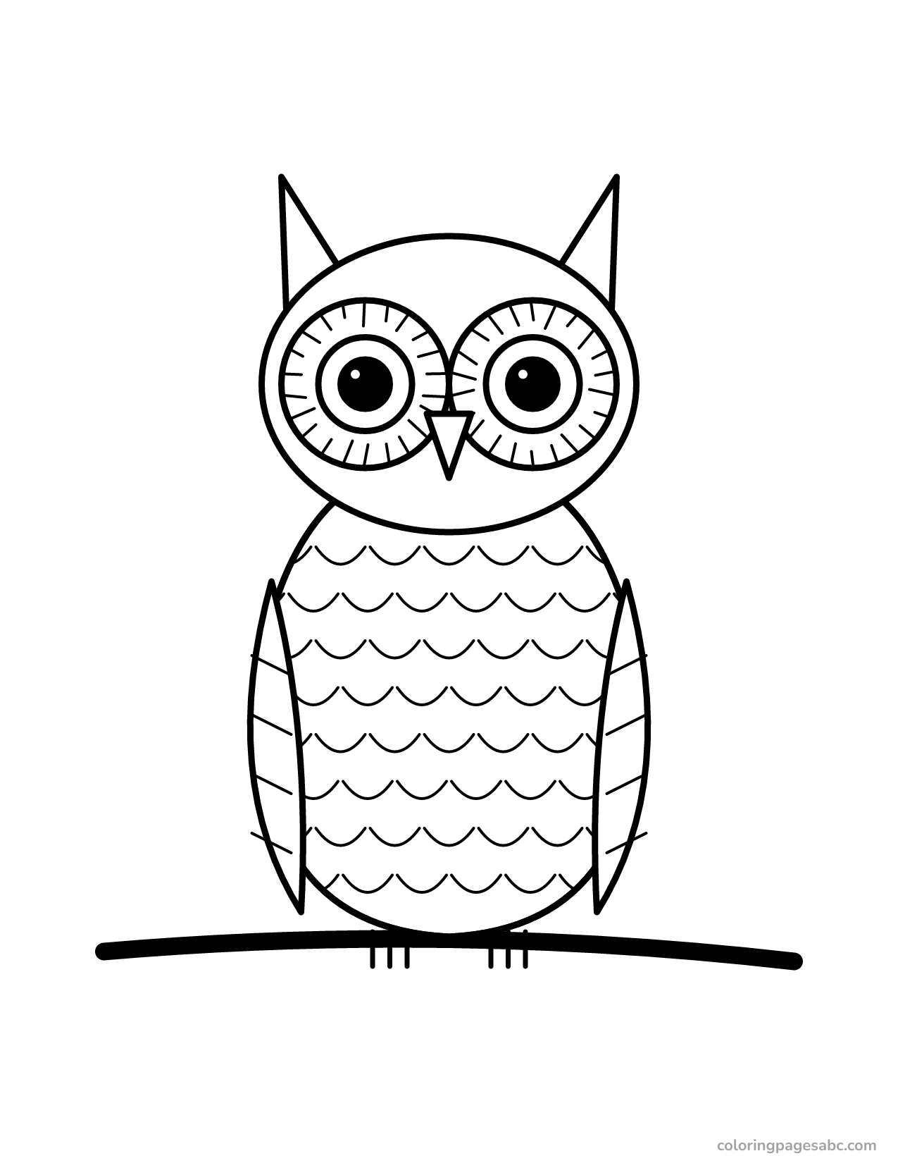 Owl with ear tufts and layered feathers on a branch
