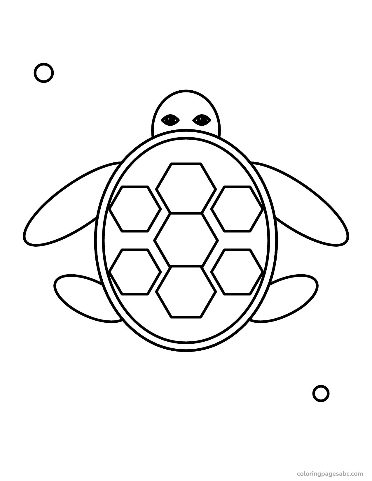 Sea turtle seen from above with a plated shell coloring page